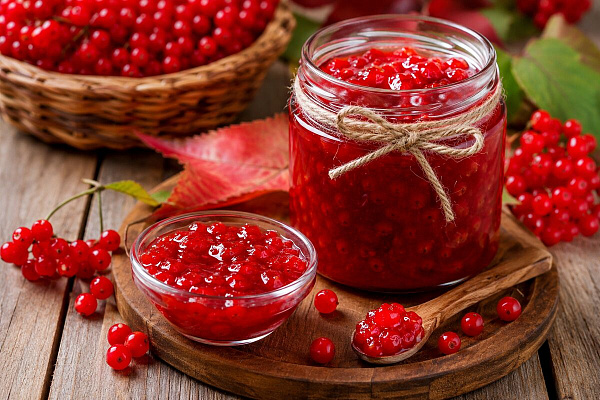 Варенье из калины: польза, рецепт и советы по хранению